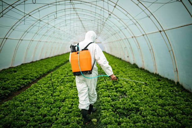 Best Pest Control Treatment  in New Bern, NC